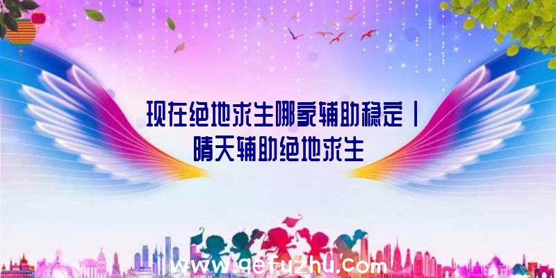 「现在绝地求生哪家辅助稳定」|晴天辅助绝地求生